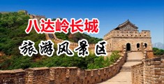黑云大鸡巴免费操女视频中国北京-八达岭长城旅游风景区